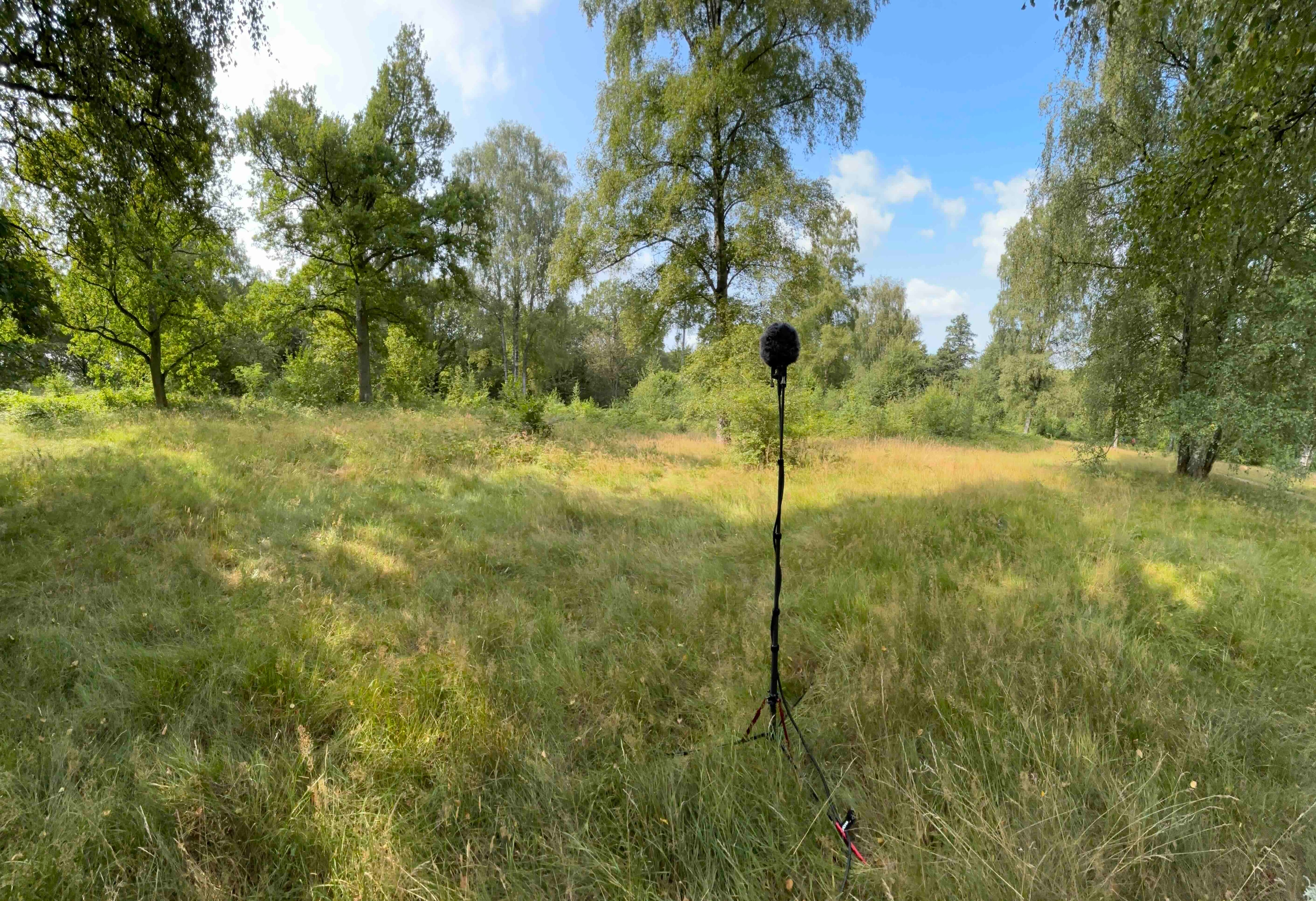 Trollskogen Vresboka forest path